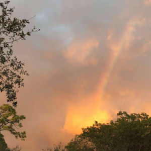 Meet your Posher, Jonelle